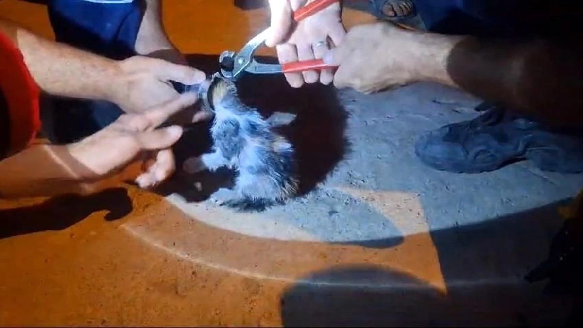 Adıyaman’da kafası boruya sıkışan yavru kedi itfaiye ekipleri tarafından kurtarıldı