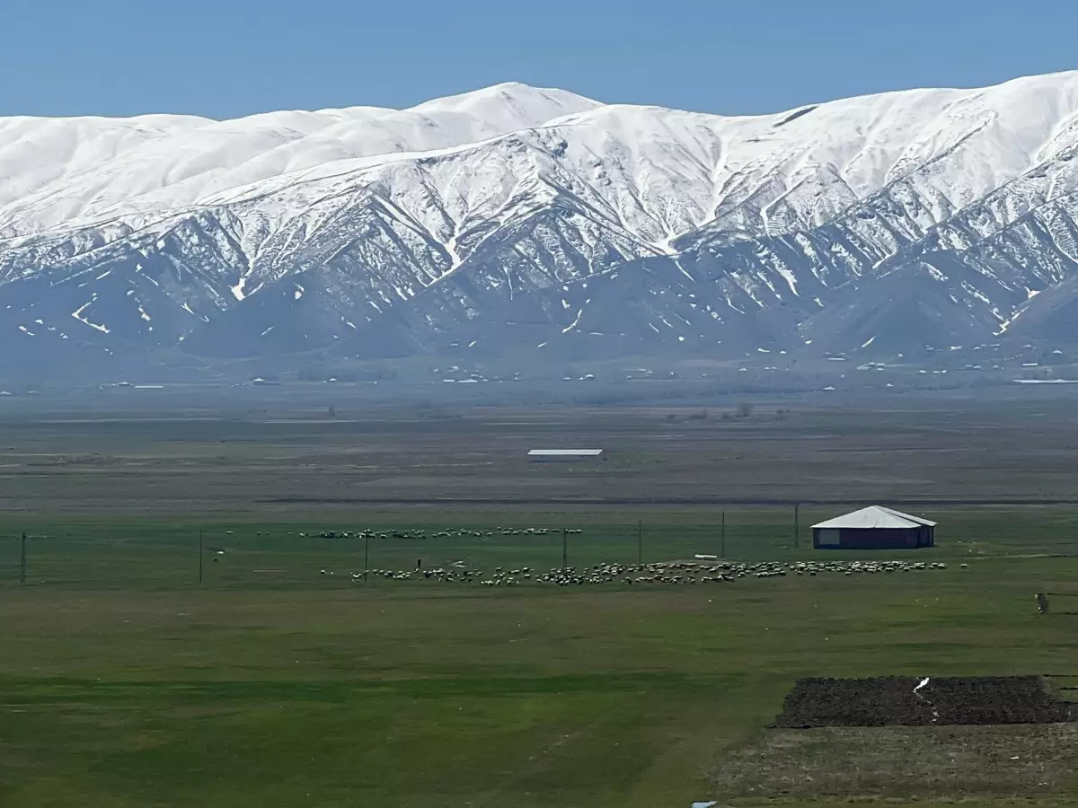 yuksekovada-coban-sikintisi-a3FzPSZ9.jpg