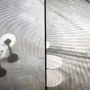 isletmenin masalarini deviren alkollu kisi guvenlik kameralarina ozur diledi I6dEmuwS