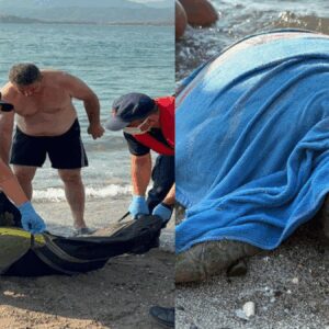 tekne pervanesi carpan caretta carettayi boyle kurtardilar uqzFswG2