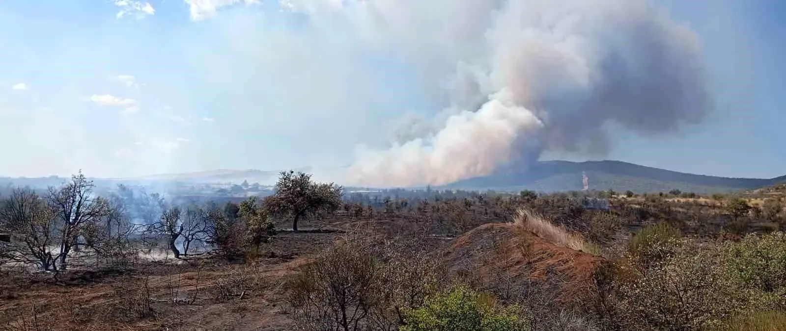 canakkalede yangin ormana sicradi y9tEGX3f