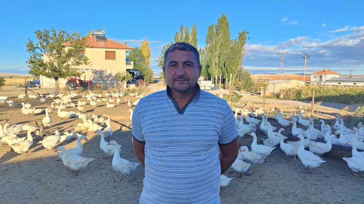 yozgatli girisimcinin dikkat ceken basarisi 5 kazla basladi 850ye yukseldi DzGBVIOd