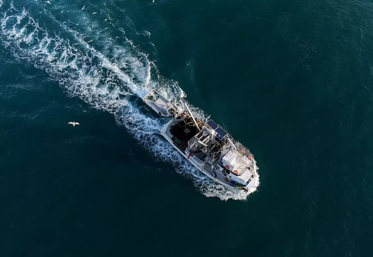 egeliler sardalya bereketiyle donuyor TUmLWjVY.jpg