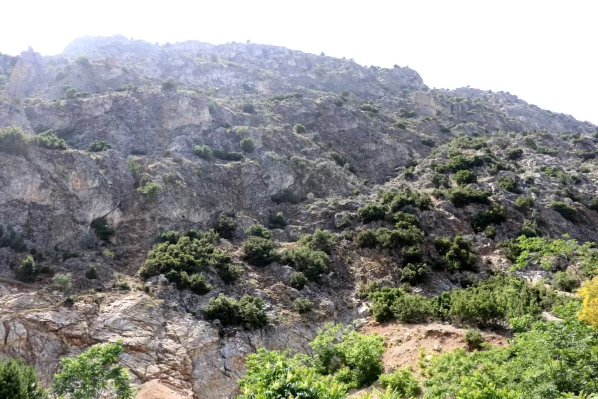 ispartada kaybolan 75 yasindaki adam icin arama calismalari baslatildi UQYJmWsc.jpg