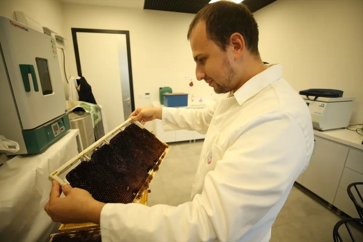 nanoteknoloji ile arilarin korunmasi OIUSwR2K.jpg