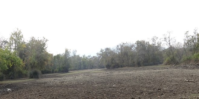 turkiyenin 3uncu buyuk longozu da kurudu jxIbFrNk.jpg