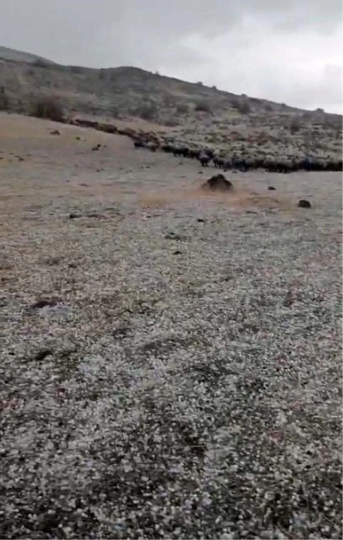 yildirim dusmesiyle yaralandi rp2lpsJ8.jpg