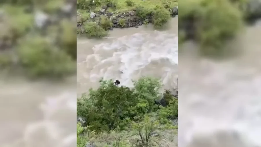 Artvin’de bir otomobil Çoruh Nehri’ne düştü: Baba ile oğlu aranıyor
