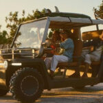 Haber gorseli